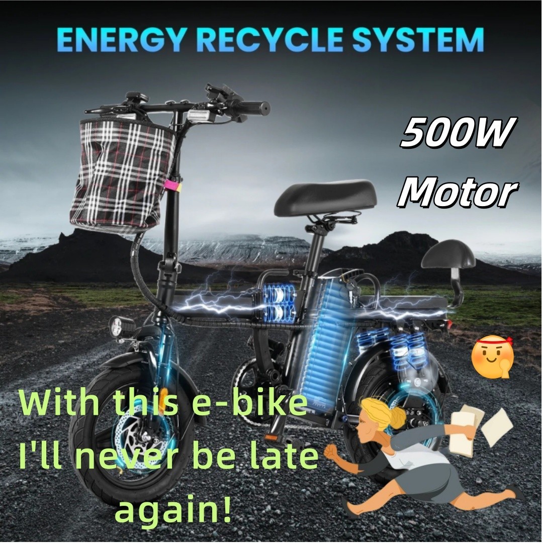 Seater Electric Bike 750W Peak 14