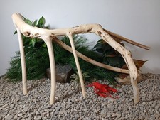 Driftwood aquarium fish reptiles lg 12x22" skeletel Manzinta Branch decor