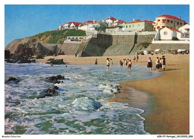 AZRP7-0415-PORTUGAL - S PEDRO DE MOEL - PORTUGAL