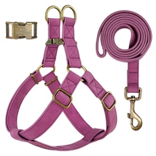 Step In Harness and Leash set PU Leather Custom Engraved Brass Buckle Heavy Duty