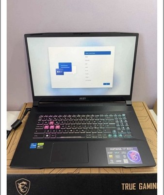 Notebook Msi Katana 17 B12V