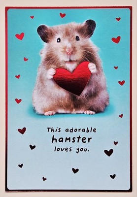 Happy Valentine's Day  Greeting Card (incl. Envelope 5×7'')
