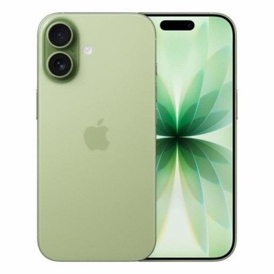 Apple iPhone 17 256GB Grün Neuwertig