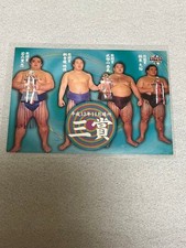 BBM 2002 92 Asashoryu Tochito Takeoyama Wakanosato Grand Sumo Card Three Prizes