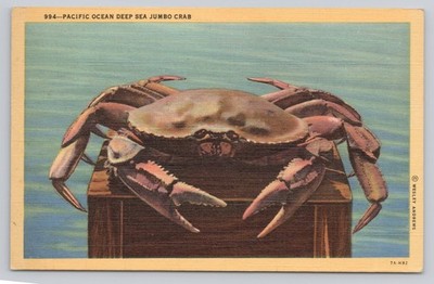 Post Card Pacific Ocean Deep Sea Jumbo Crab Q464