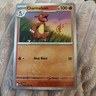 FREE SHIPPING Ascended Heroes Pokémon TCG CHARMELEON 21/217 Regular