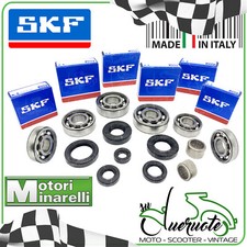 KIT REVISIONE MOTORE MINARELLI AM6 1992-2008 SERIE CUSCINETTI PARAOLIO ASTUCCIO