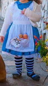 Vestito Carnevale Artigianale Alice Nel Paese Delle Meraviglie Ebay