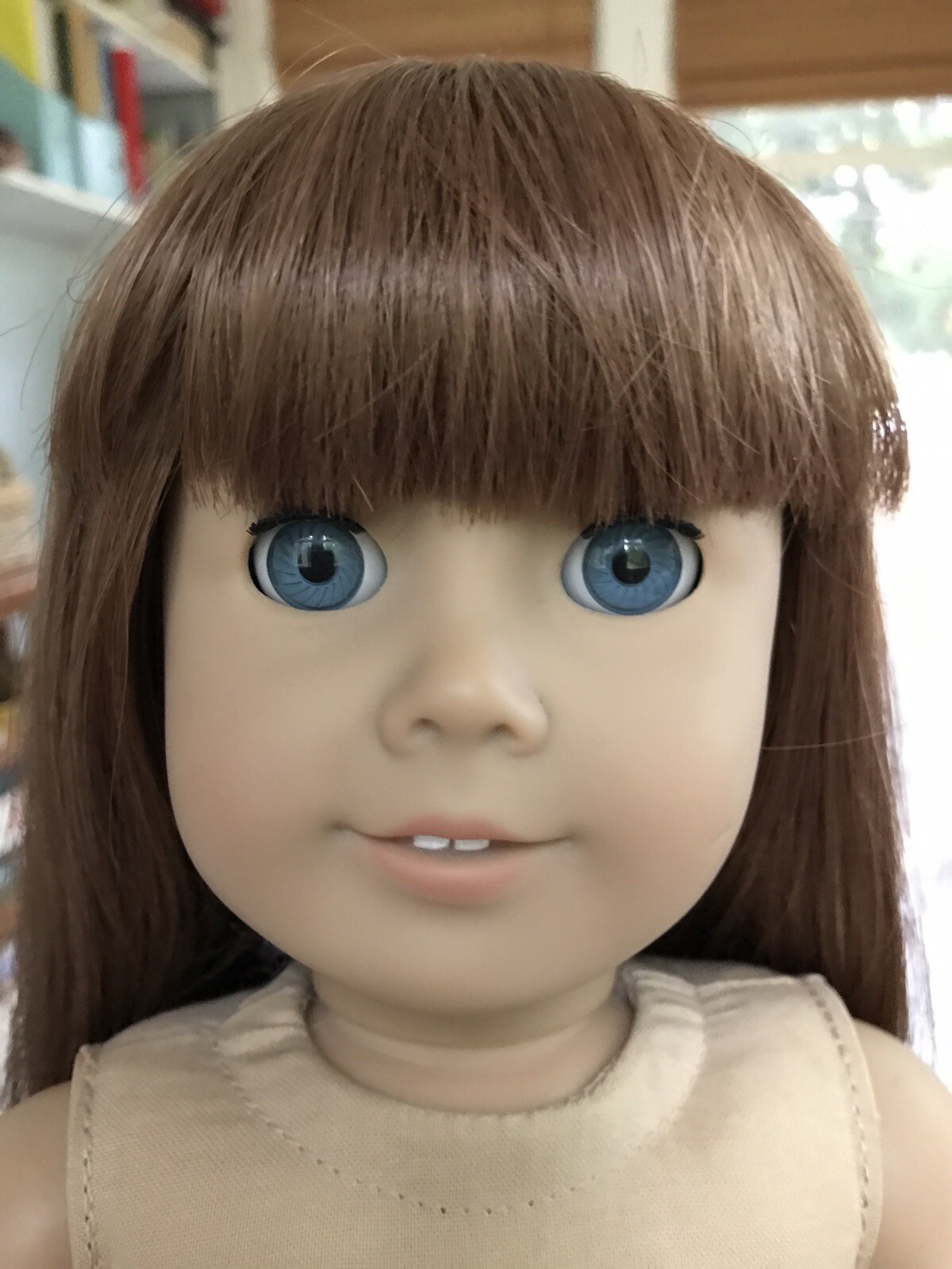american girl doll red hair brown eyes