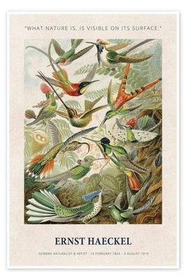 Poster What Nature is, is Visible on its Surface - Ernst Haeckel