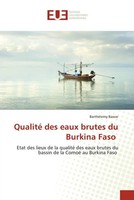 BarthéLemy Bawar | Qualité Des Eaux Brutes Du Burkina Faso | Taschenbuch (2023)