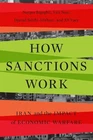 How Sanctions Work by Narges Bajoghli, Vali Nasr, Djavad Sale... - 9781503637801