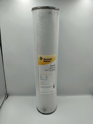 Pentair Pentek RFFE20-BB Iron Reduction Filter 20x4.5 Big Blue Cartridge
