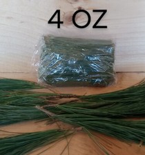 Fresh Eastern White Pine needle tea Maine Forest grown Suramin organic Health