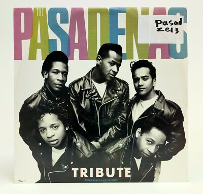 The Pasadenas - Tribute - Musik Vinyl Record
