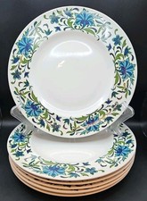 6 x Vintage Midwinter Spanish Garden Dinner Plates 26.5cm - Jessie Tait