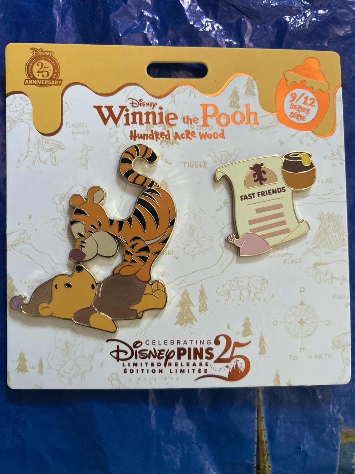 Disney Pin Winnie The Pooh And Tigger Hundred Acre Wood Series 9/12- LR