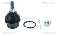 Traggelenk FüHrungsgelenk Triscan 8500 14539 FüR Navara Nissan NP300 D40 Dci 4WD