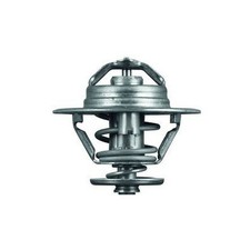 Thermostat Fiat 132