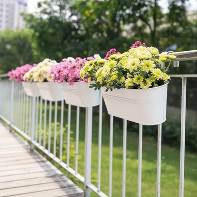 Versatile 6-Pack 9.8-Inch White Iron Planters - Perfect for Garden & Porch Decor