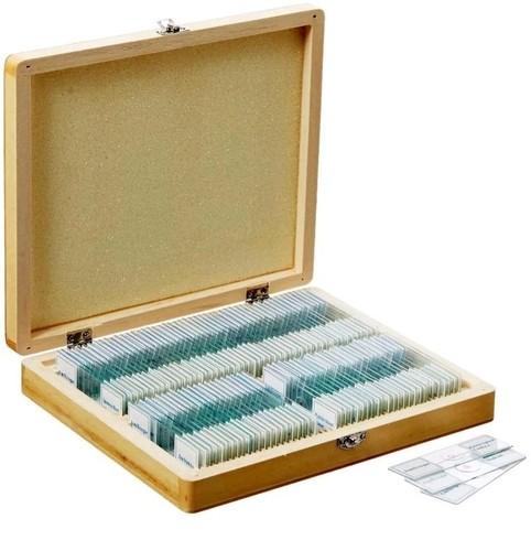 AmScope 100 Stück präparierte Objektträger - Pflanzenpilz Insekten & mehr + Holzkoffer - Bild 1 von 5