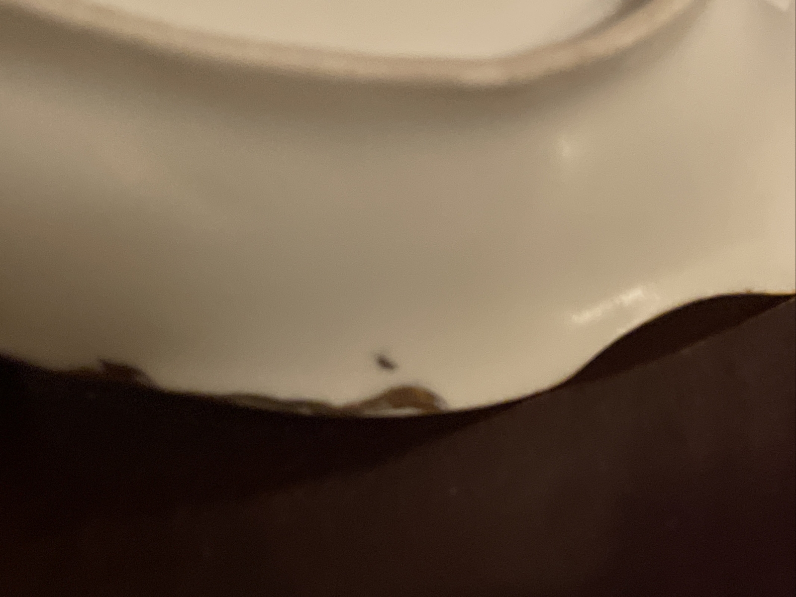 Picture 6 of 7