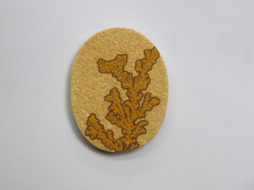 100% Natural psilomelane dendrite Druzy Cabochon Loose Gemstone 67 Cts. ME-4998 - Picture 2 of 4