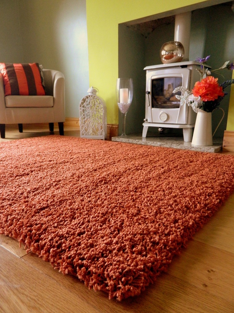 Burnt Orange Rugs Next Bryont Blog