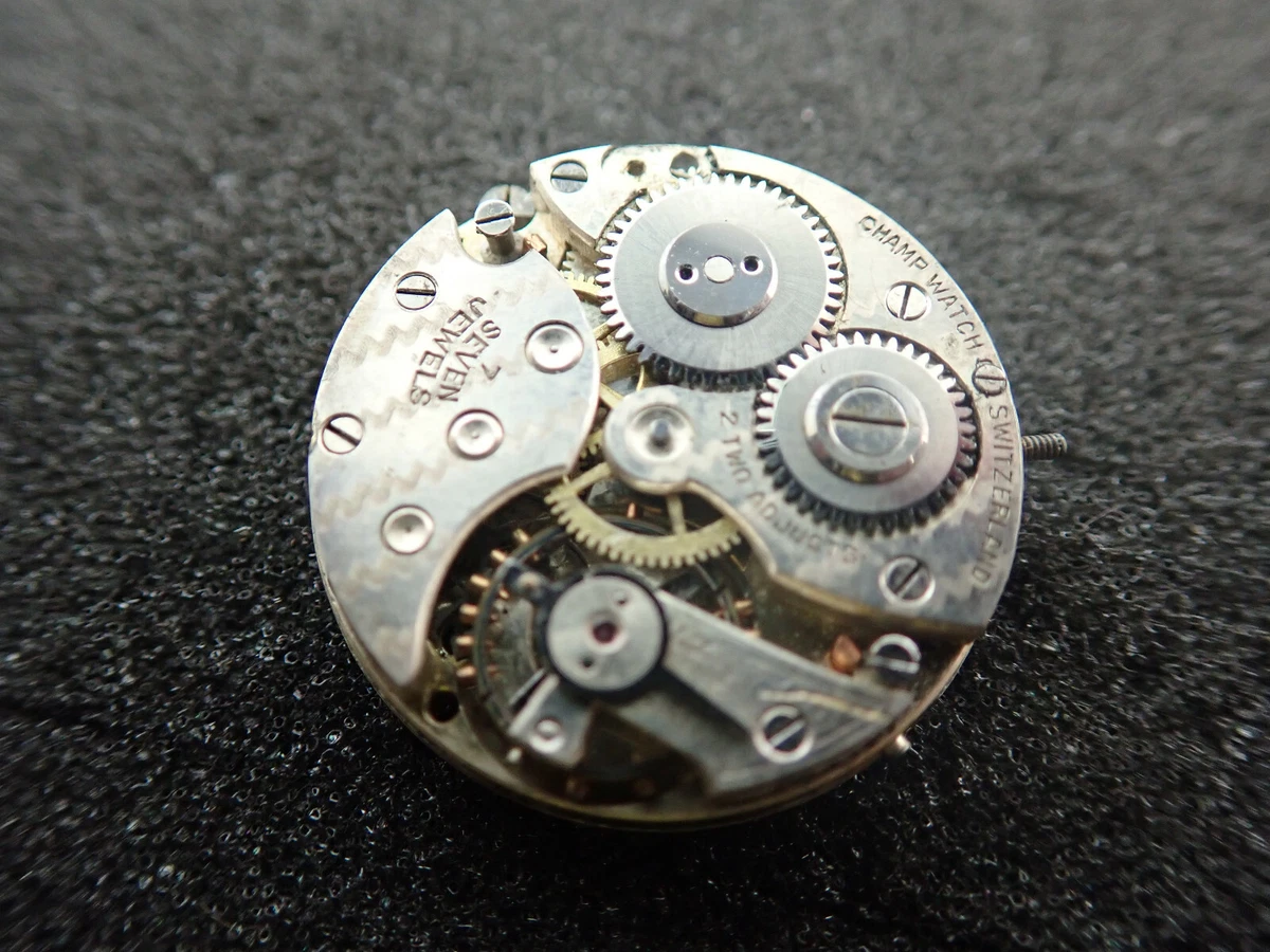 Swiss military hotsell champ watch