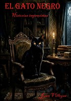 Juan José Villegas LóPez | El Gato Negro | Taschenbuch | Spanisch (2026)