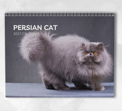 Persian Cat Calendar 2027: Monthly Wall Calendar with Notes, opens to A3 Size