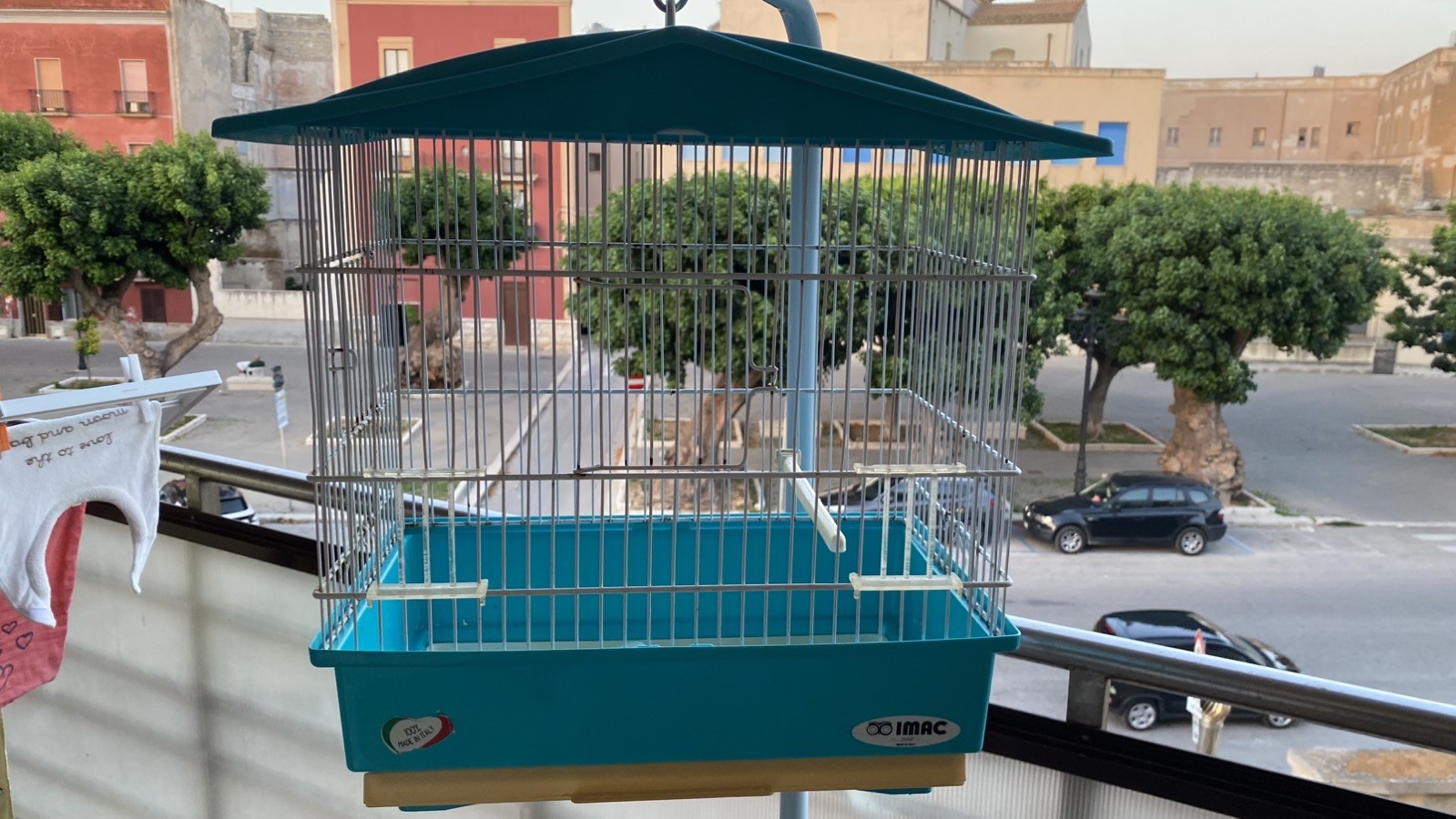 gabbia per uccelli