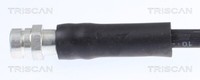 Triscan 815029234 Bremsschlauch FüR Vw Audi Seat Skoda