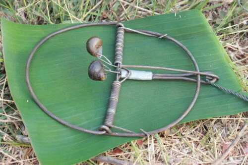 10x Fallen Mäuse Ratte Jagd STARK Schnappfang Falle Schädlingsbekämpfung Survival Camping - Bild 3 von 4