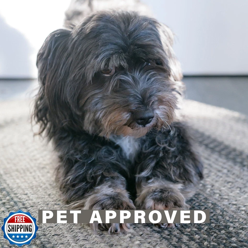 Alfombras ovaladas trenzadas Flint Hill 20x30 - Alfombra de entrada de yute gris para Primitive Dec Foto 2 de 4