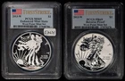 2013-W Silver American Eagle West Point 2 Coin Set Proof - PCGS MS/PR 69 - E2631