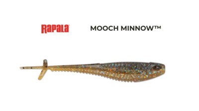 Rapala Crush City 3 1/2'' Mooch Minnow - Choice of Colors
