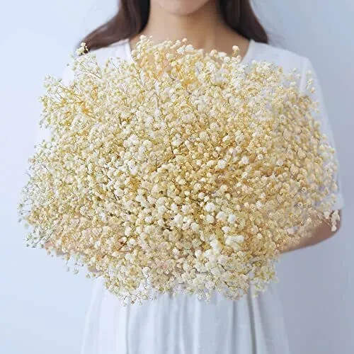 beerfingo Dried-Flowers-Babys-Breath-Bouquet-17.2 inch 2500+ Ivory White Flow-image