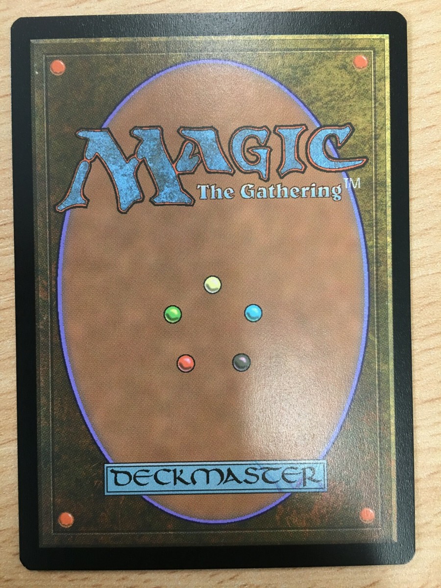 Secret Lair　Ornithological Studies Magic the Gathering: Secret Lair Ornithological Studies [MTG