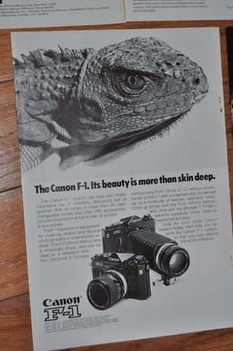 1974-75 CANON Camera advertisements x5, F-1 camera, animals, F1 race car - Foto 5 di 6