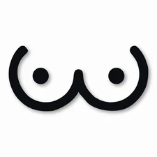 Angry OWL MEAN OWL boobies BOOBS - Vinyl Decal Sticker - CHOOSE Size & Color