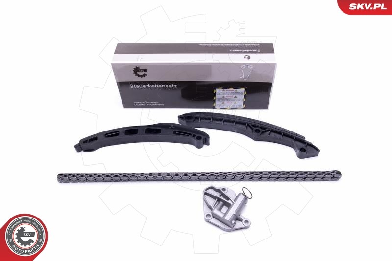 2x ✅Fits SKV GERMANY 21SKV148 TIMING CHAIN KIT 21SKV148 / 4 ELSEAT S ⭐UK Seller⭐