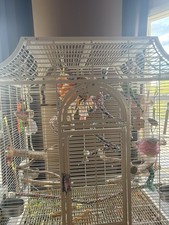 Large White Metal Dometop Bird Cage for Parrots with Accessories