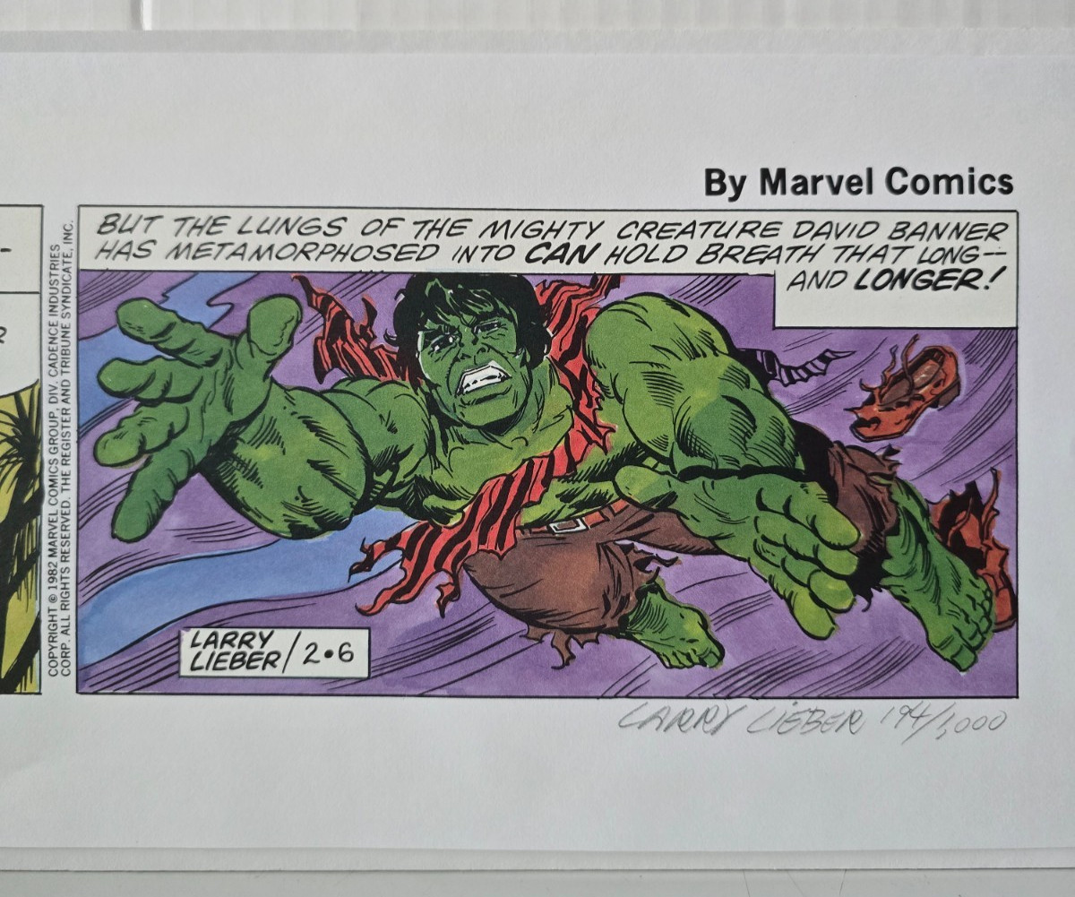 MARVEL THE INCREDIBLE HULK LARRY LIEBER STAN LEE SIGNED LIMITED ED /1K ART COA thumbnail 4