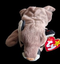 1998 TY Beanie Baby - CANYON the Cougar 8.5 inch - Stuffed Animal Toy