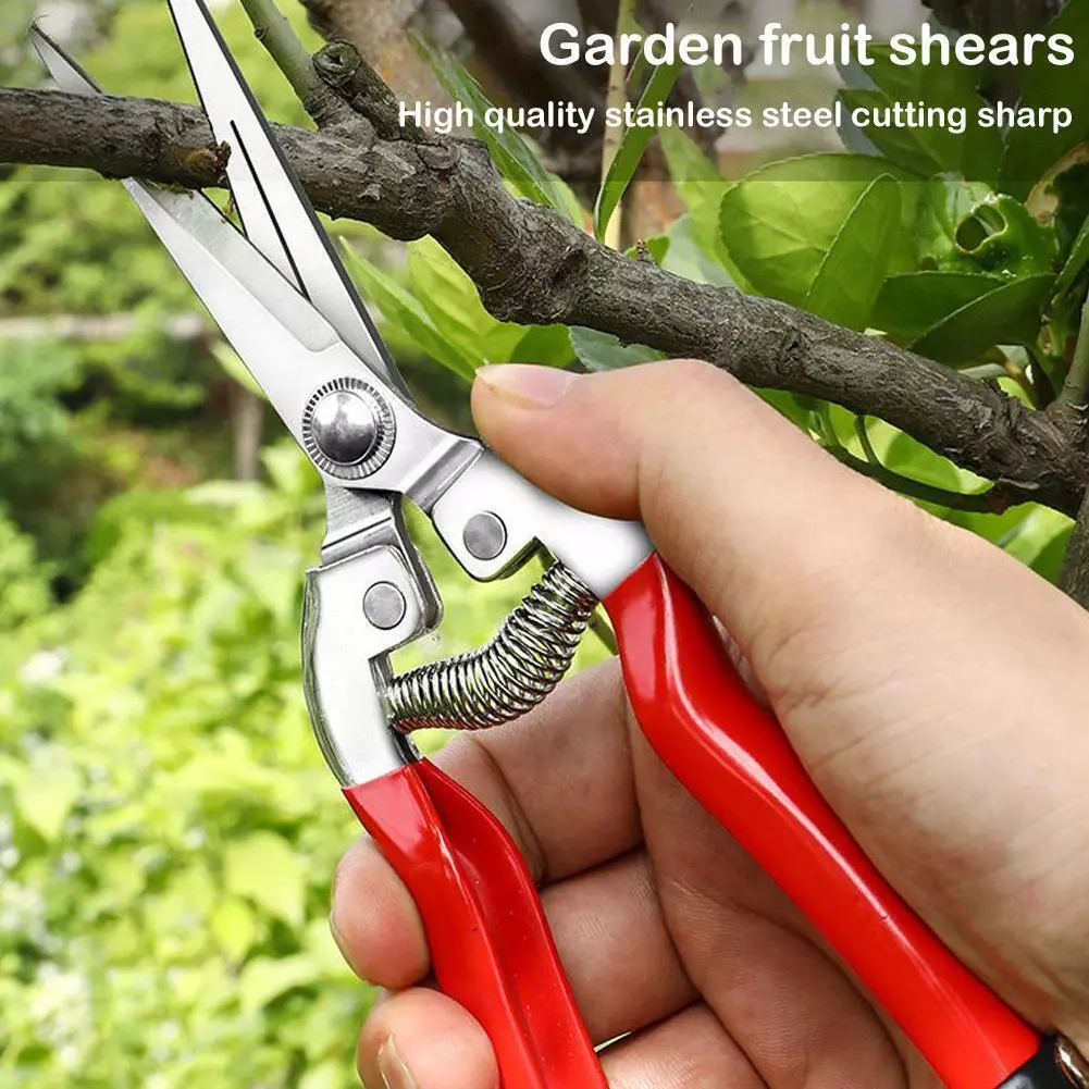 Pruning Scissors Gardening Scissors Household Fruit BES Grape Scissors T Z2F3