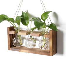 "Plant Propagation Station with Wooden Stand - Unique Gifts  Home Decor"