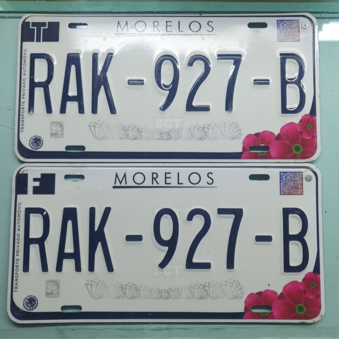 Morelos Mexico license plate (matching Pair) eBay