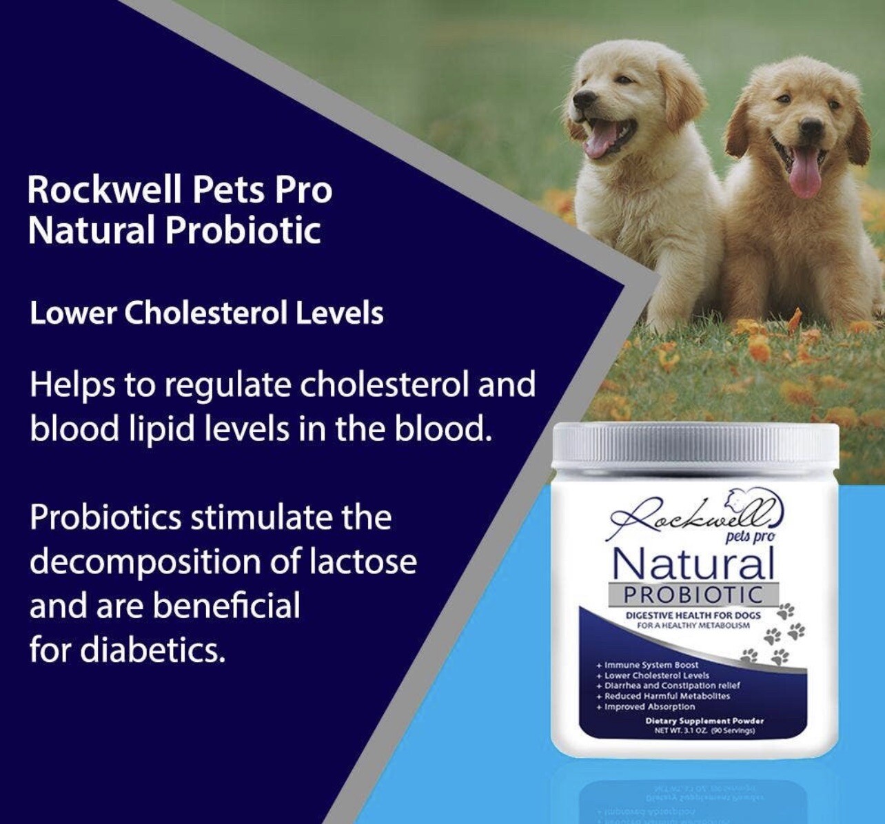 Rockwell Pets Pro Natural Probiotic DIGESTIVE HEALTH FOR DOGS eBay