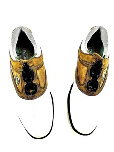 footjoy reelfit golf shoes